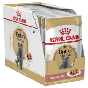 Royal Canin British Shorthair Ya resim 361