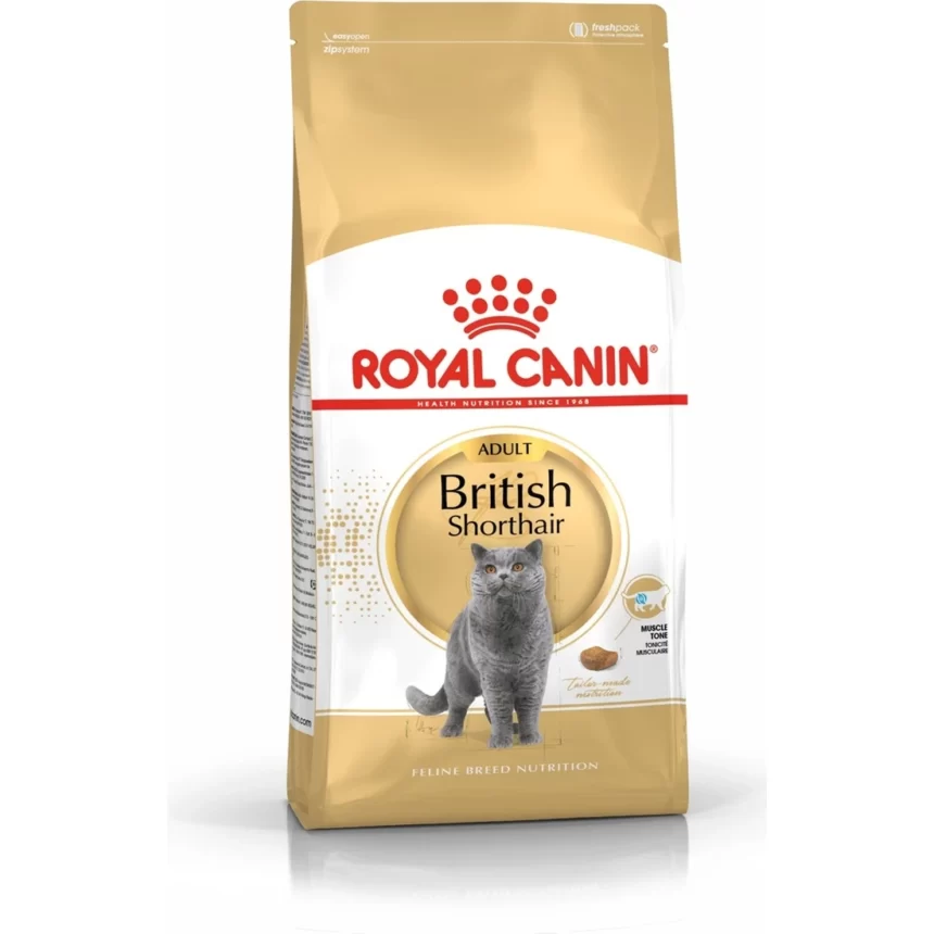 royal canin british shorthair kedi mamasi