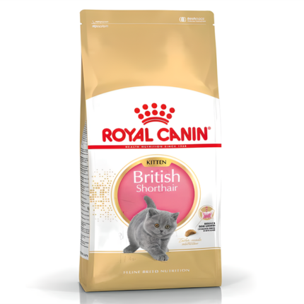 Royal Canin British Shorthair Yavru Kedi Maması