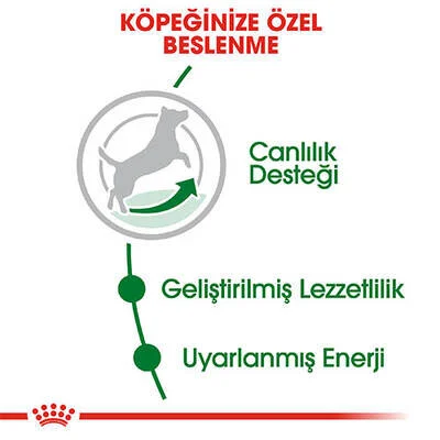 Royal Canin Küçük Irk Mini ADULT Yetişkin Köpek Maması