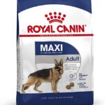 Royal Canin Büyük Irk Maxi Adult Köpek Maması 15 KG 