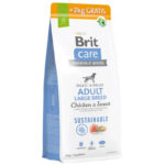 brit care sustainable large bocek proteinli ve tavuklu buyuk irk kopek mamasi 12 kg 2 kg toplam 14 kg bonus paket kopek kuru mamalari brit care 57783 19 B